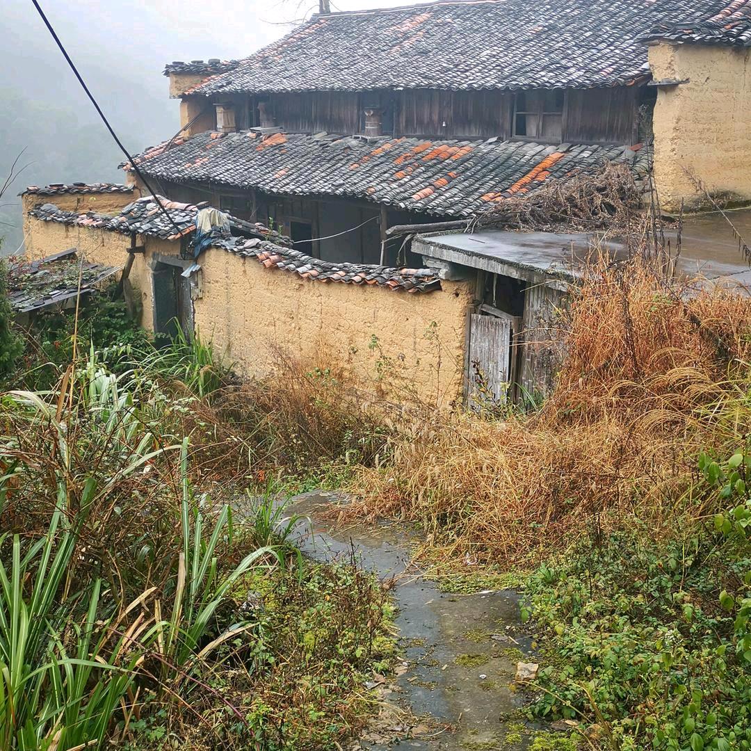 草根&男神（@贵）