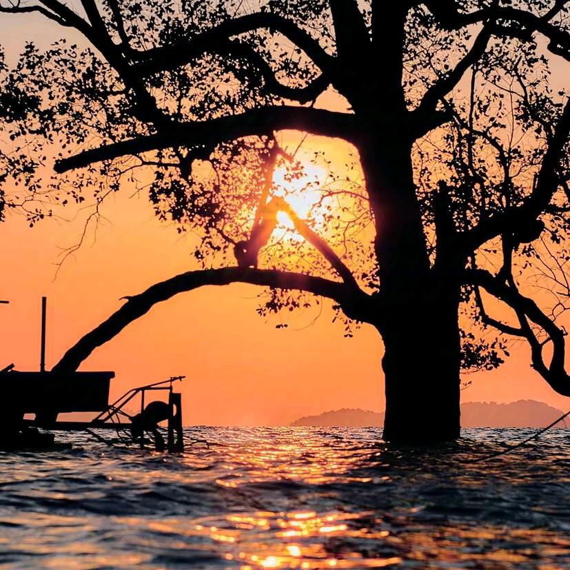 彭歌带你学工傷