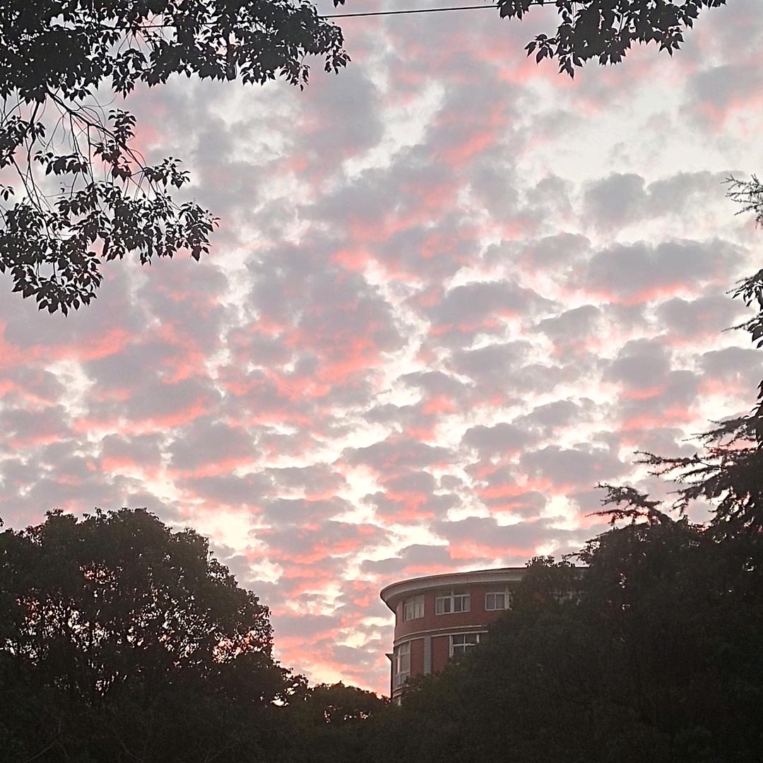 姐的微笑😊你百度都收不到