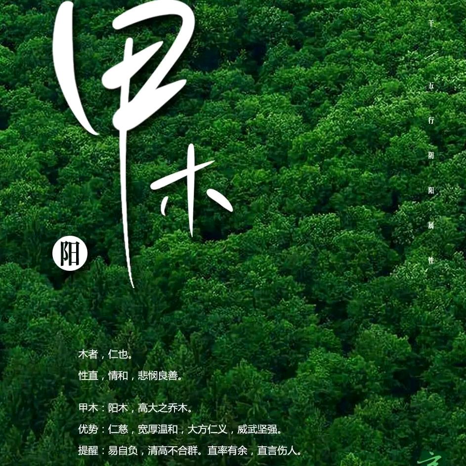 我在卧底