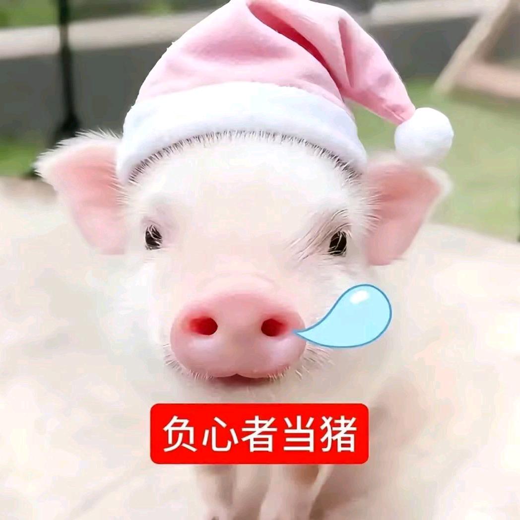 李清照