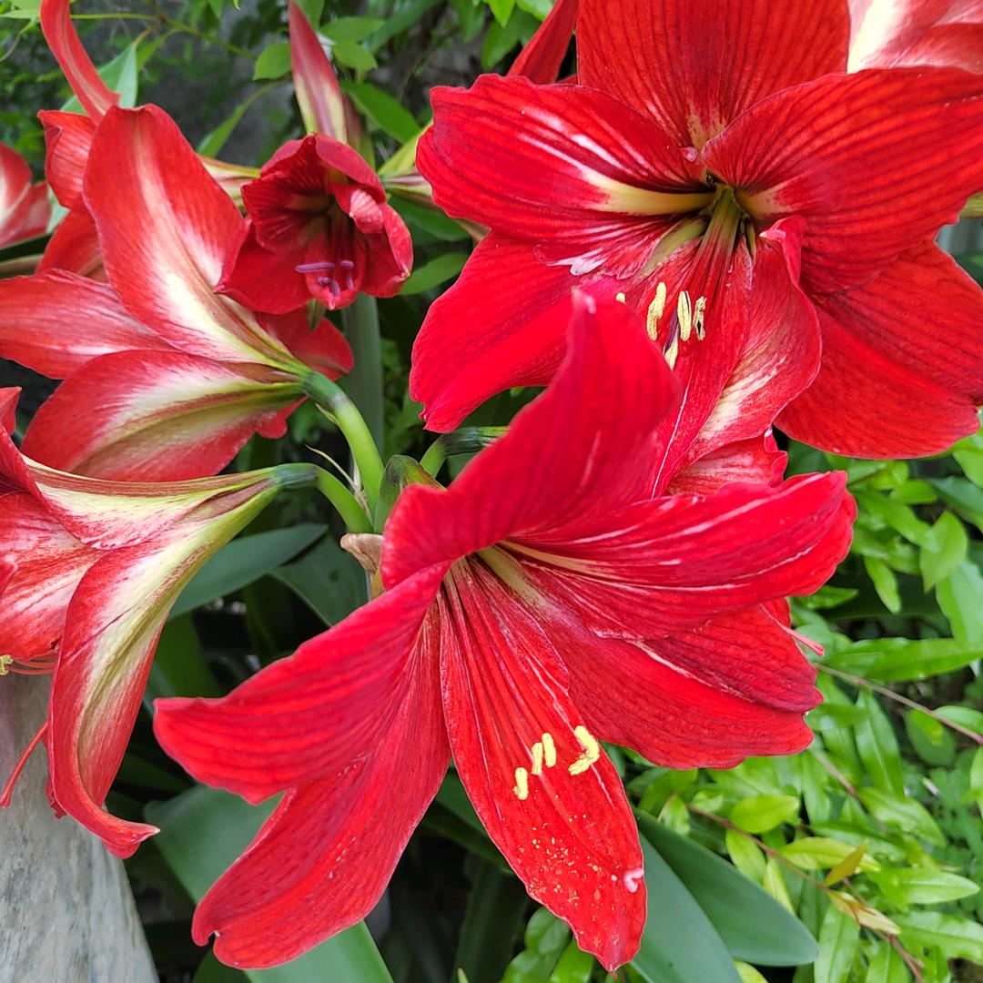 冬天的太阳@夏天的风