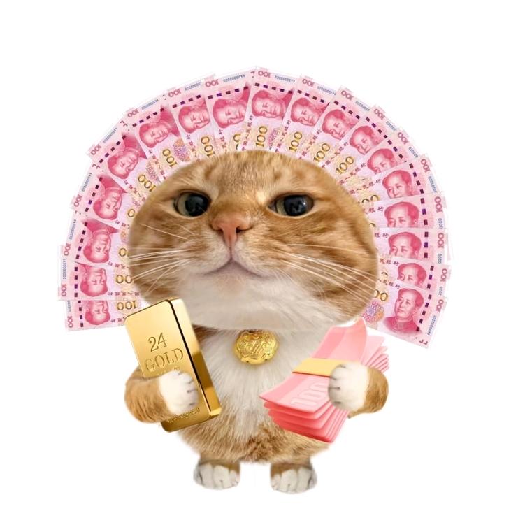 每天拉屎一大坨