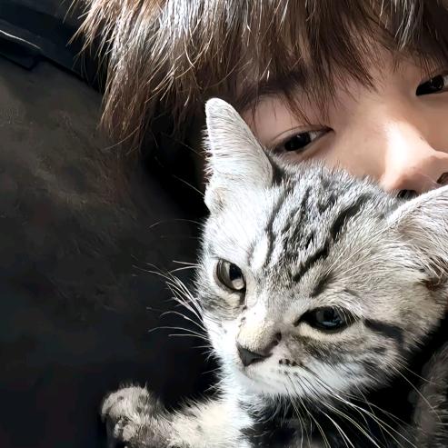 纯爱冷酷大帅比