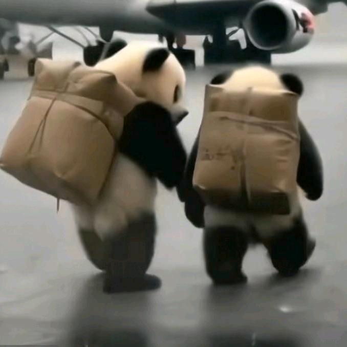 浪浪山的肉三岁⁵²⁶