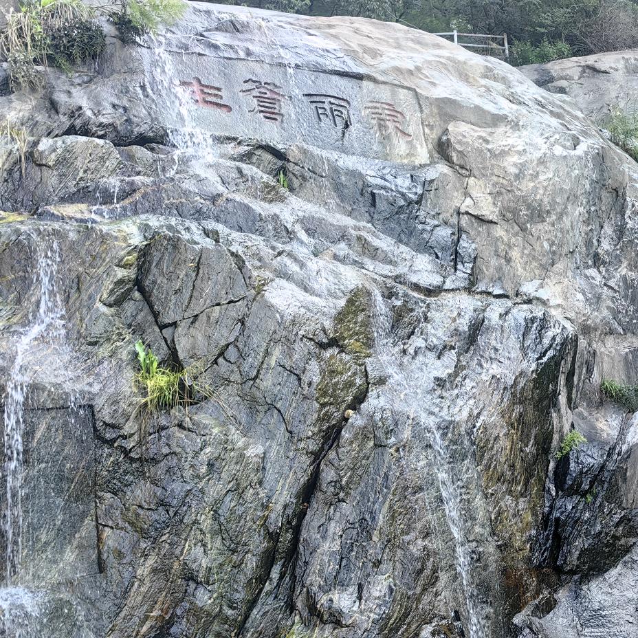 若能许我再少年