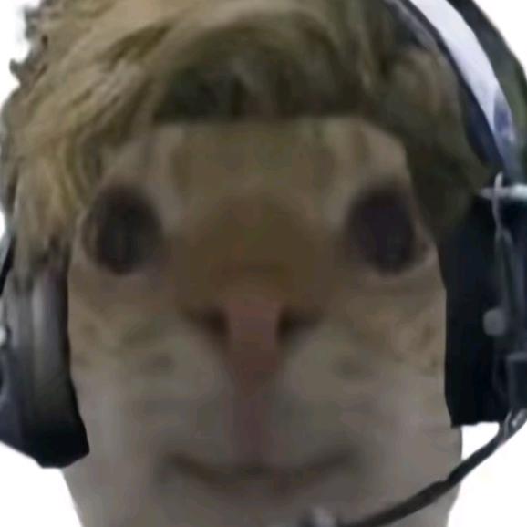 坝中鼠（三角洲行动）