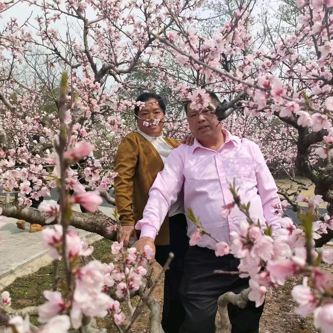 密斯特wαng