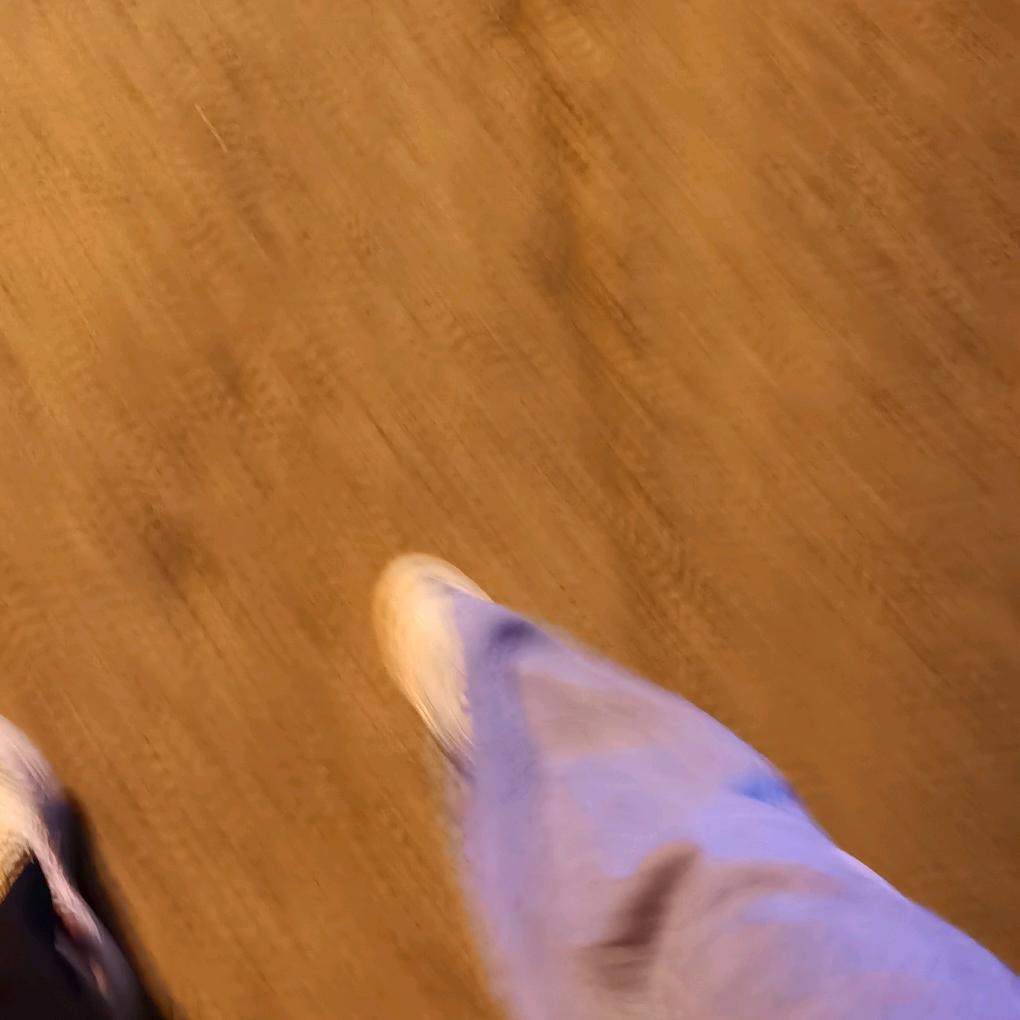 。。。。。。。。。。。。。。