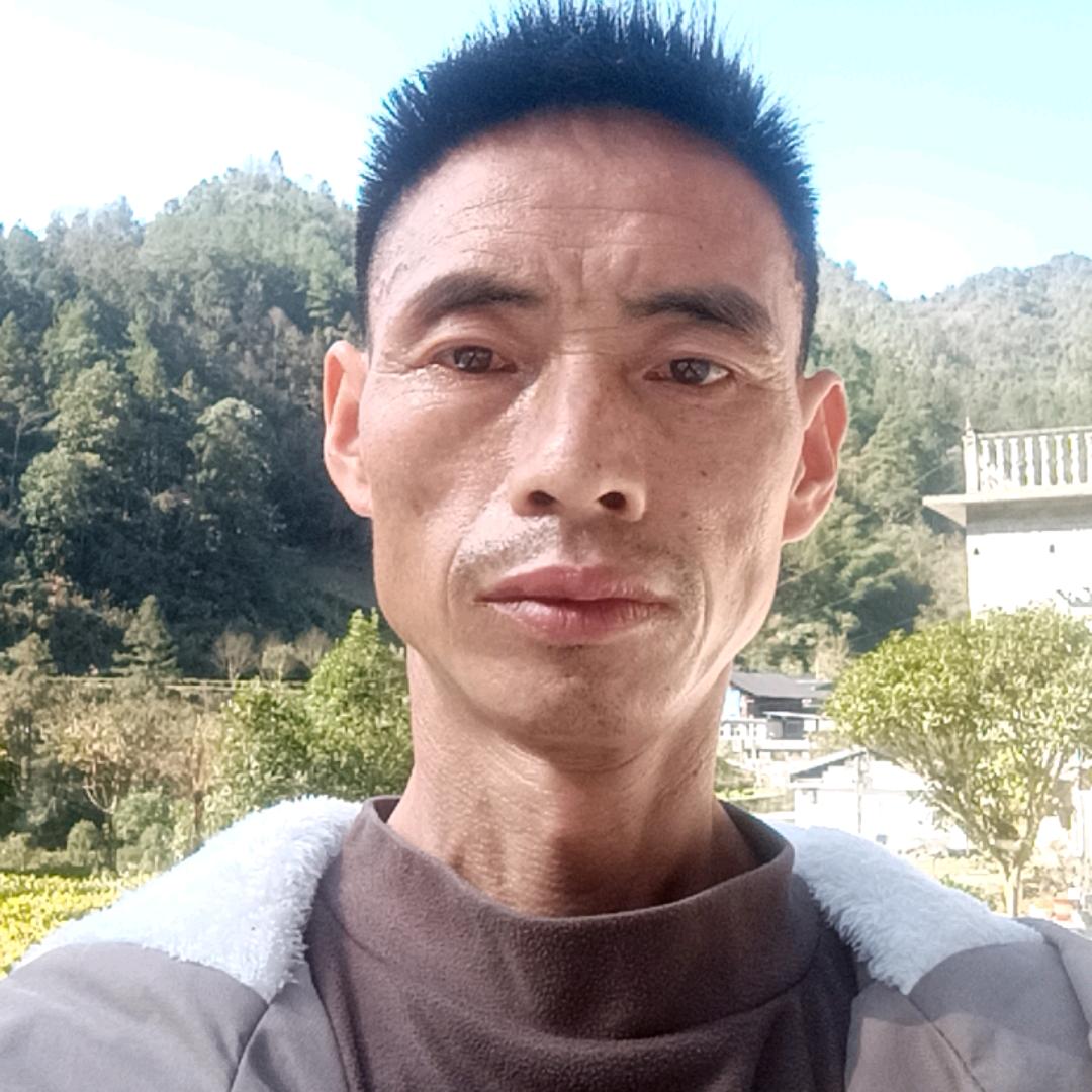 李鱼有点肥