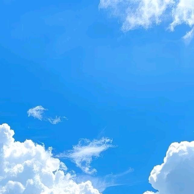 理工大当体校