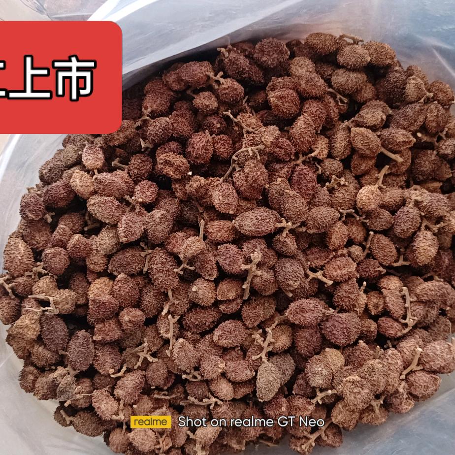 阳春佳叔