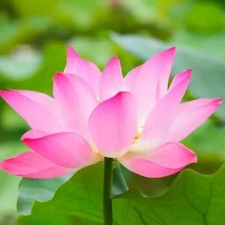 小徐～蹬不动🚴🏻‍♀️