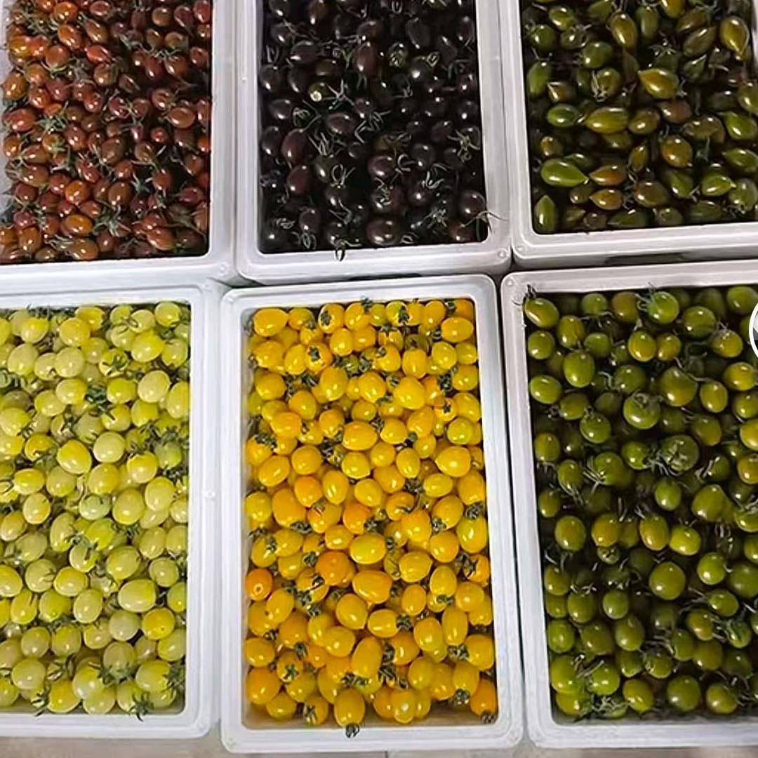 寿光丰华农副产品严选店