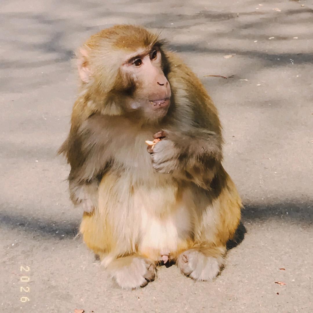 kejdh头像