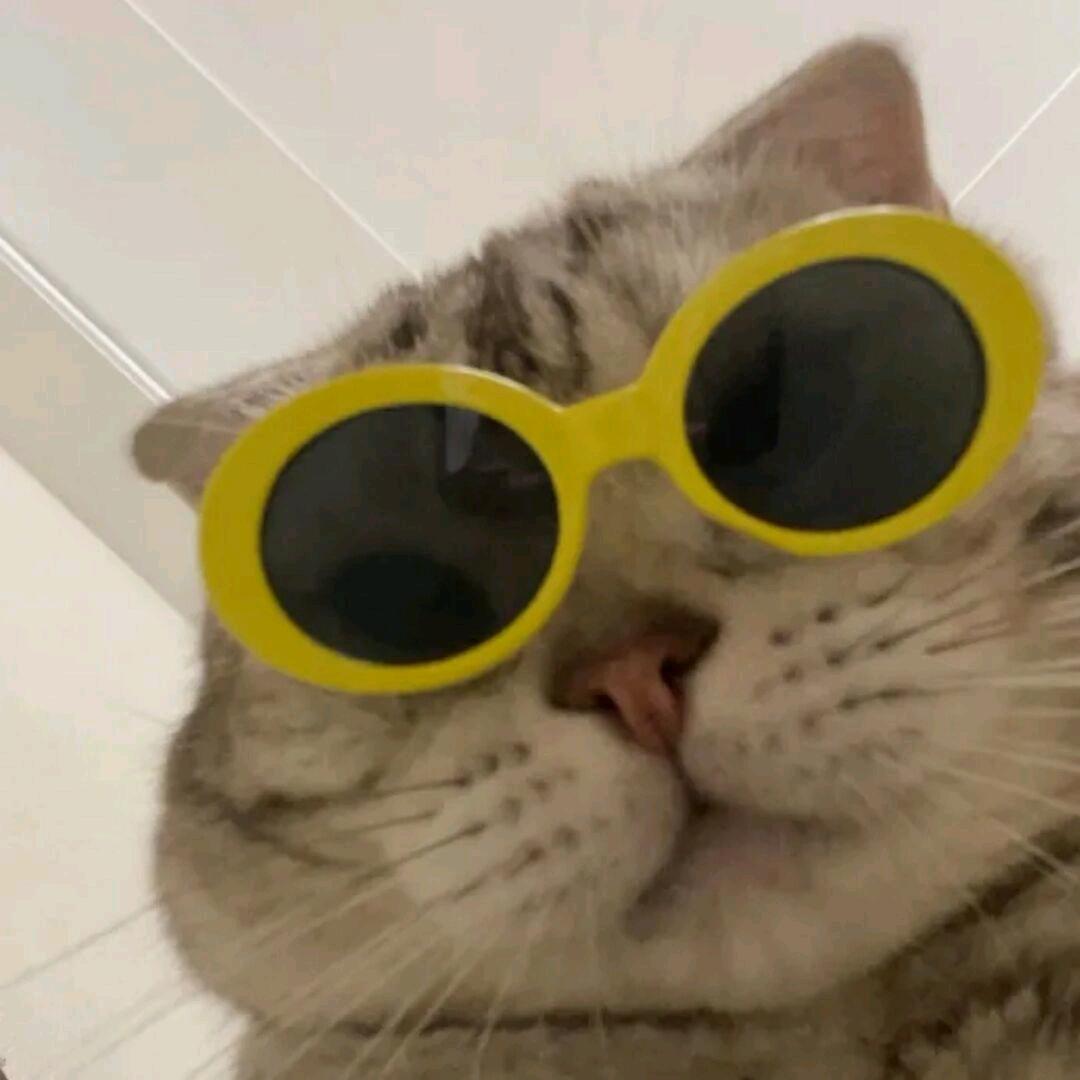 姜太公电鱼