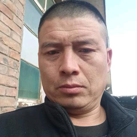 孤独陪伴