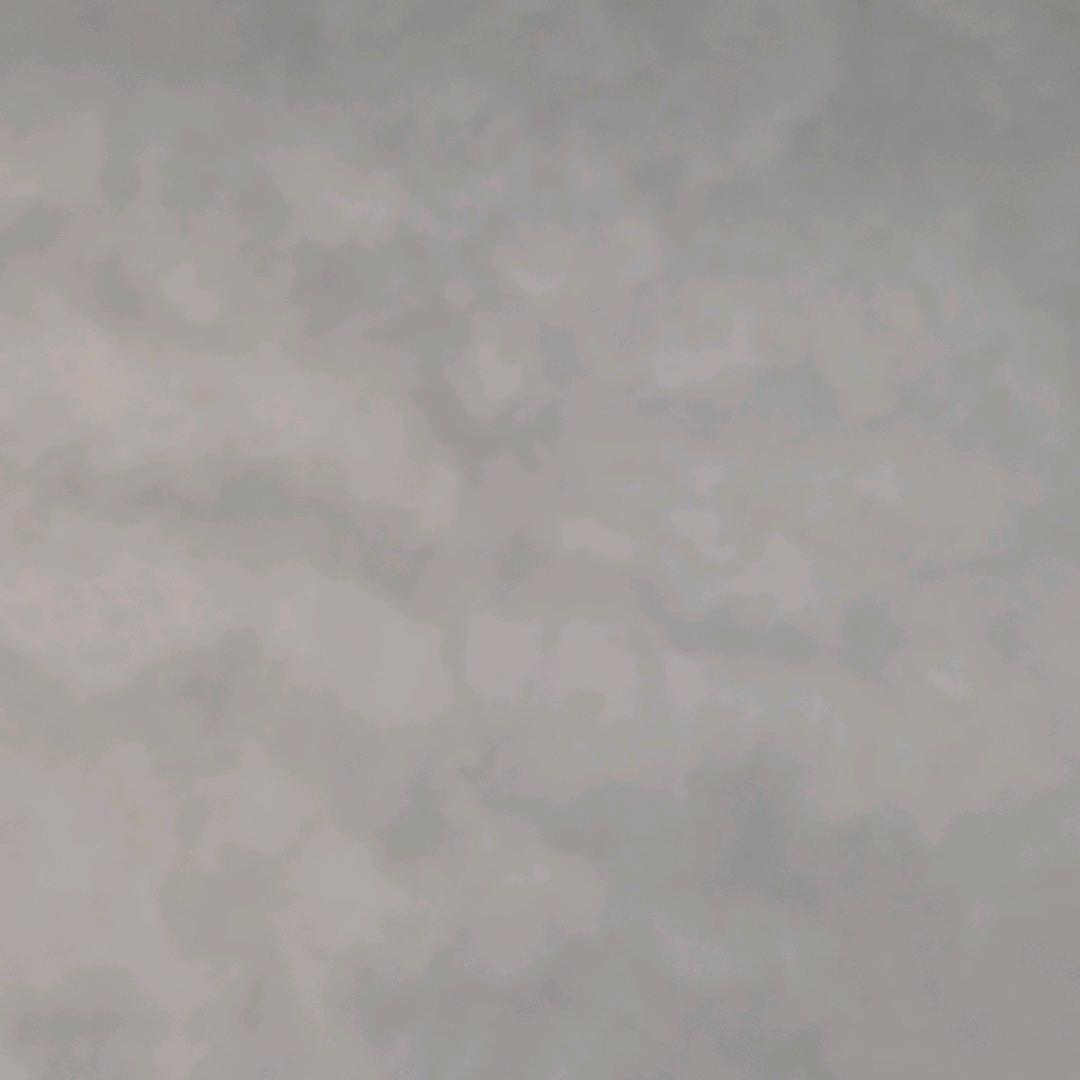 B老哥