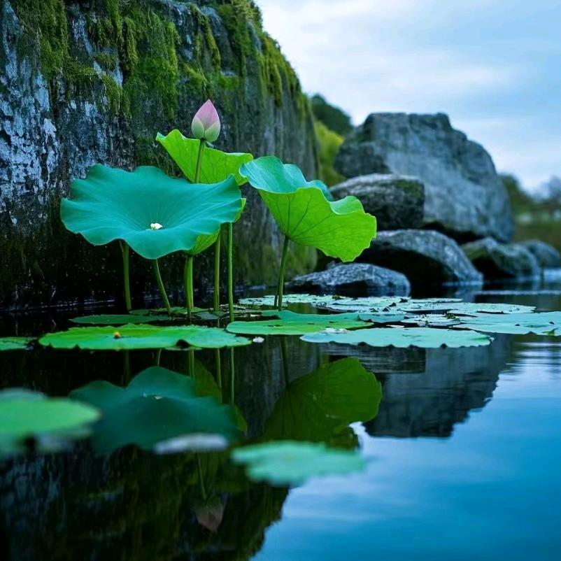 滢汐