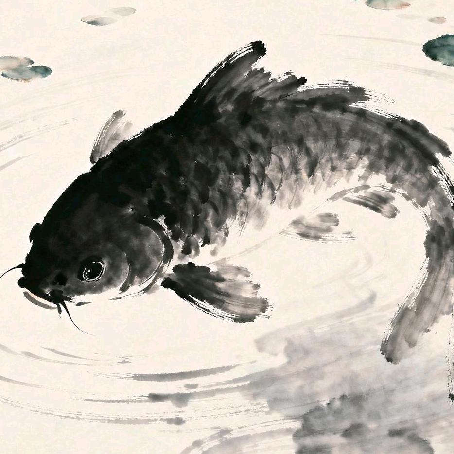 鲷