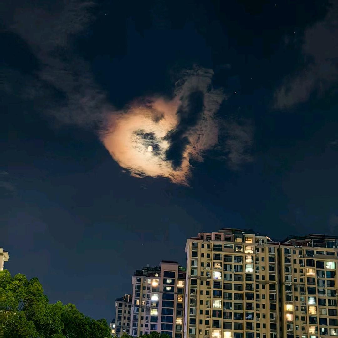 ヾ(≧O≦)〃嗷~恭喜你实现财富自由