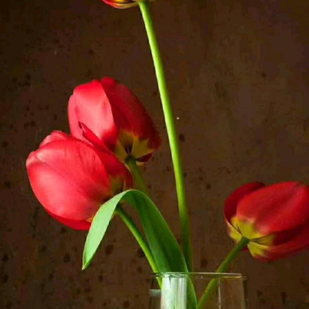 🍀健康是福🍀