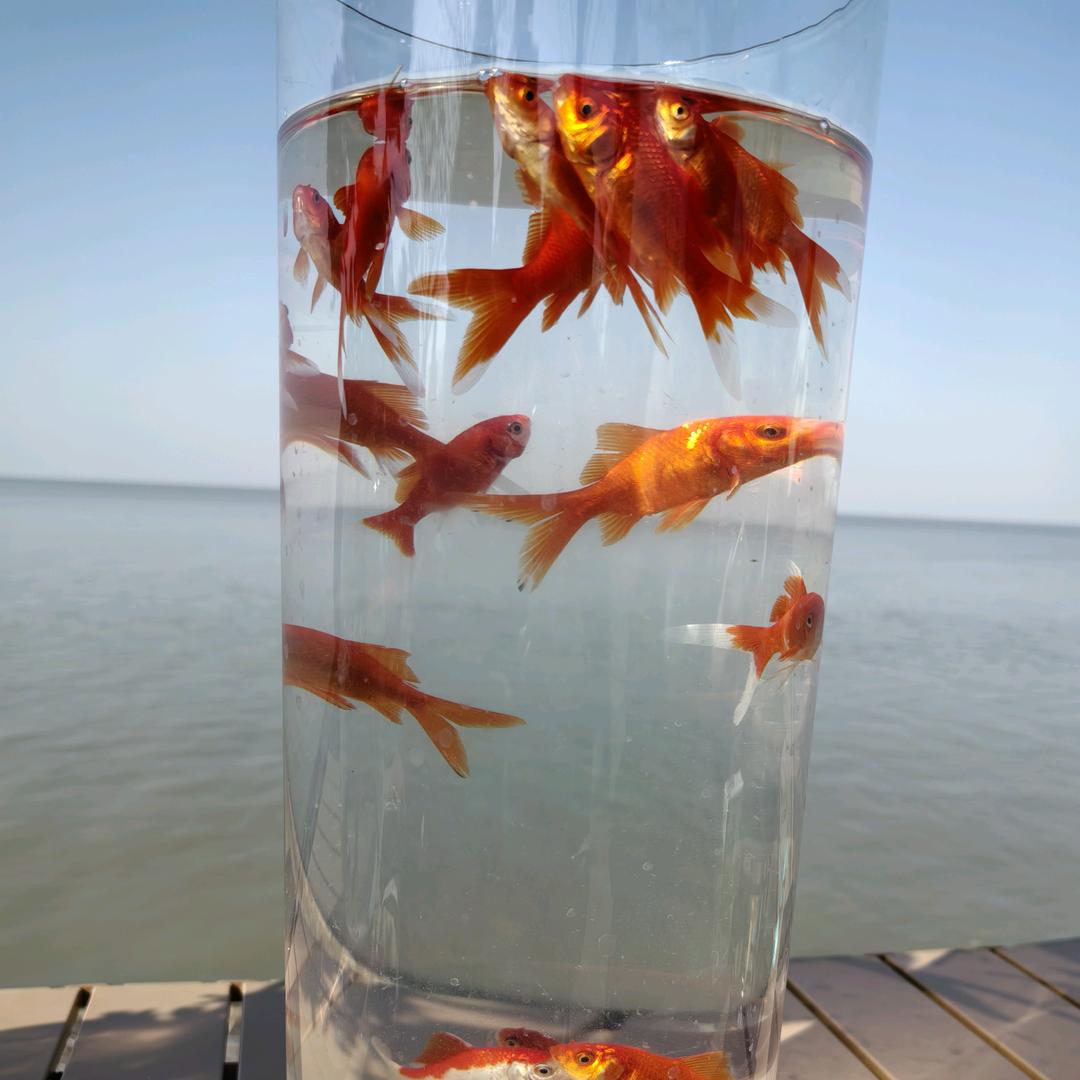 小小数码