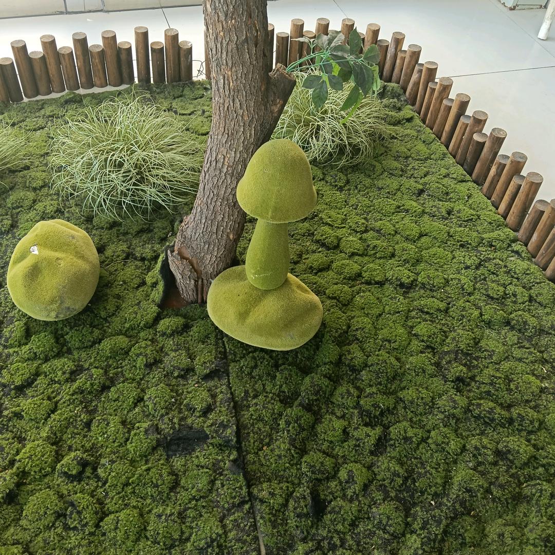 花开富贵.