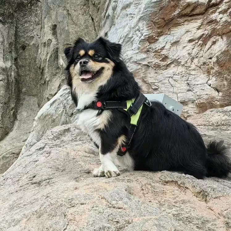 乌托邦