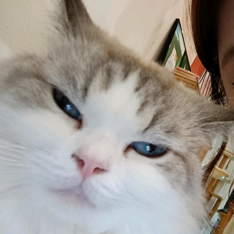 Hww