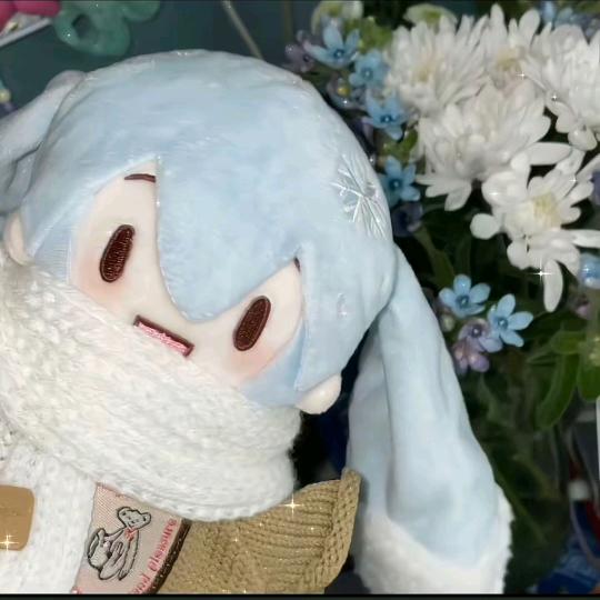 凯宜伊