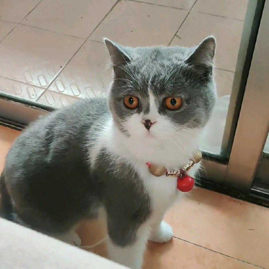 快乐🌷小鸟🌴