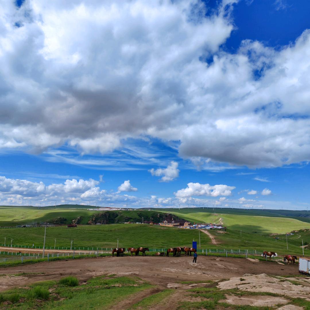 一直想做自己的娃妈