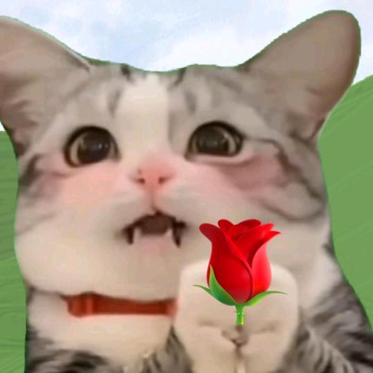 猫猫猫meme