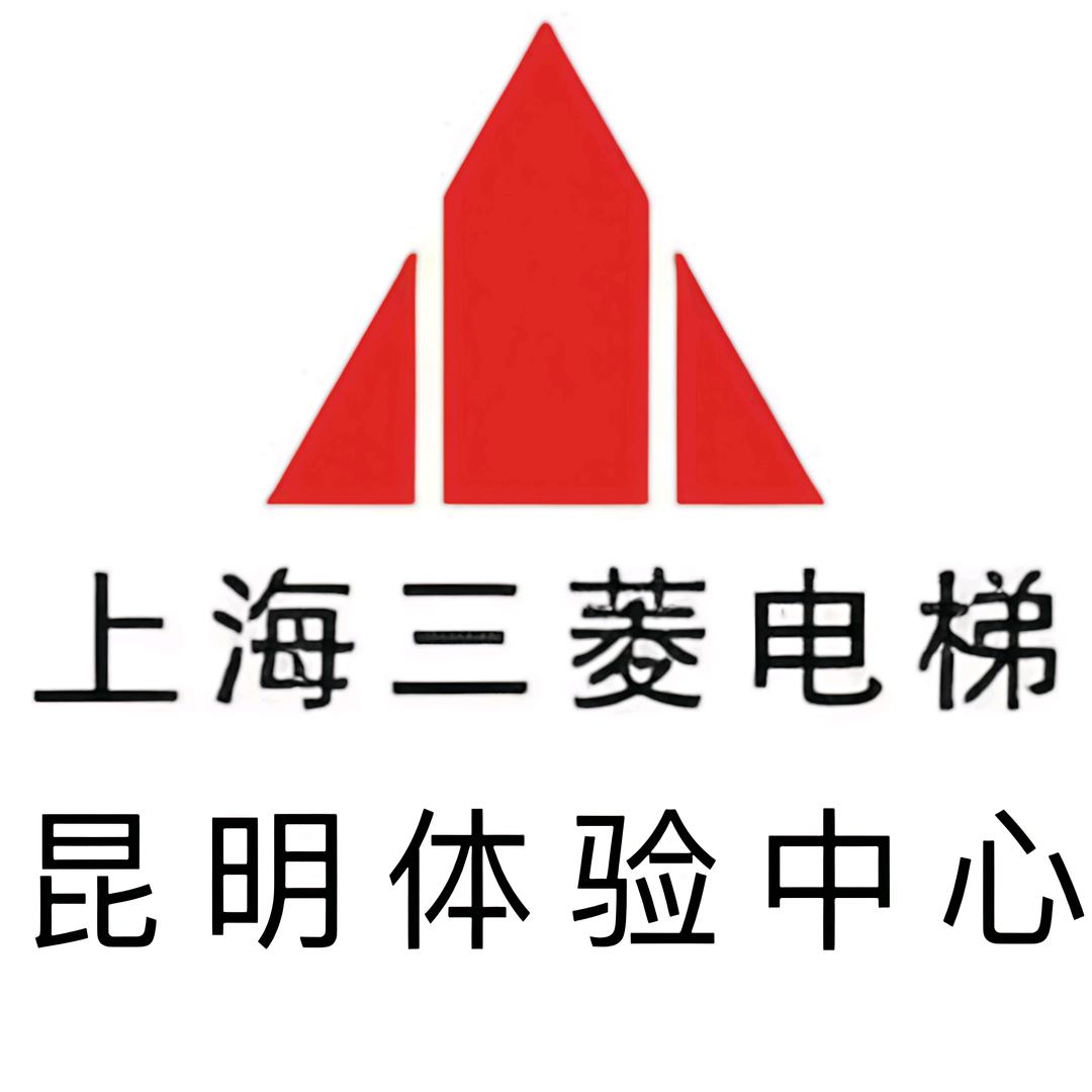 云南电梯雪飞
