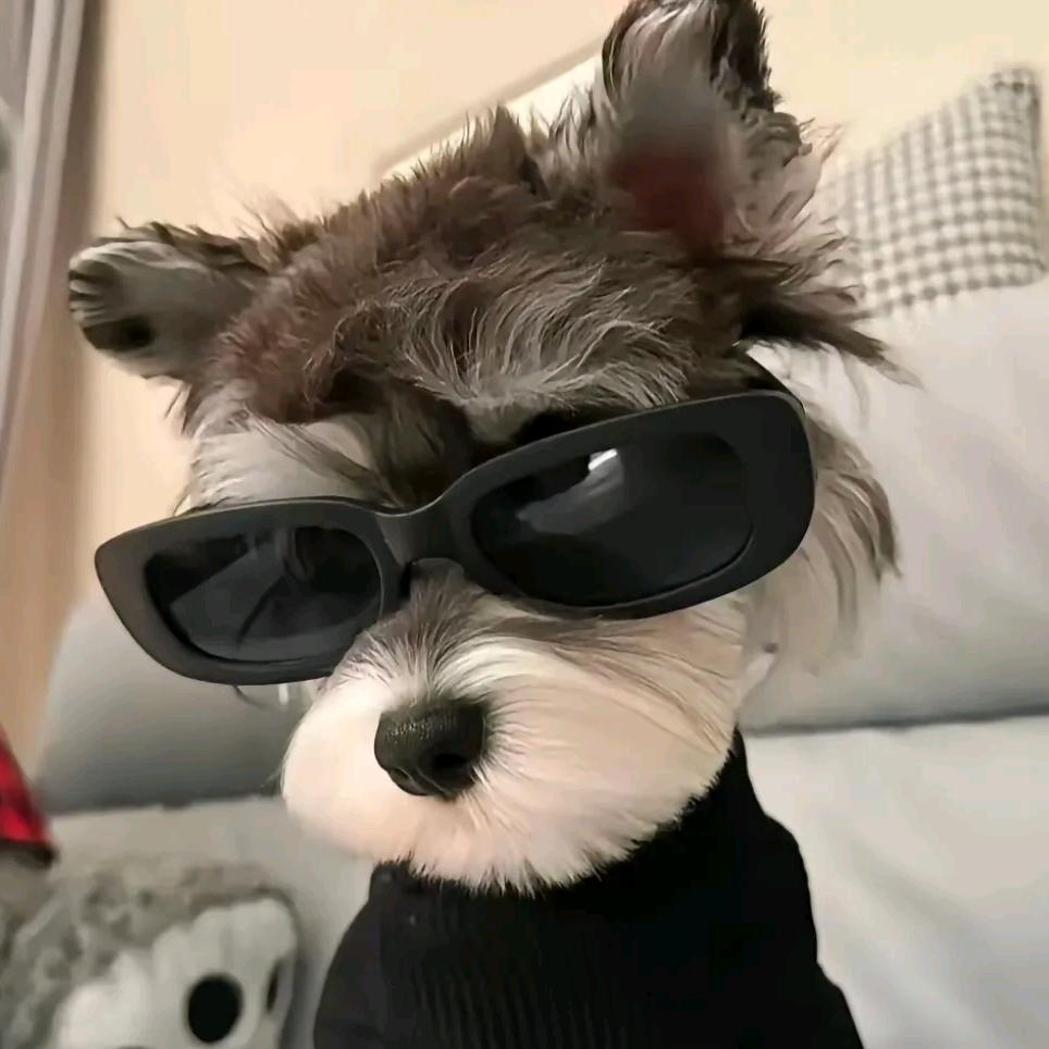 初一╰😎╮