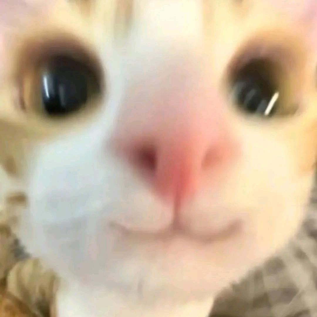 啦啦啦