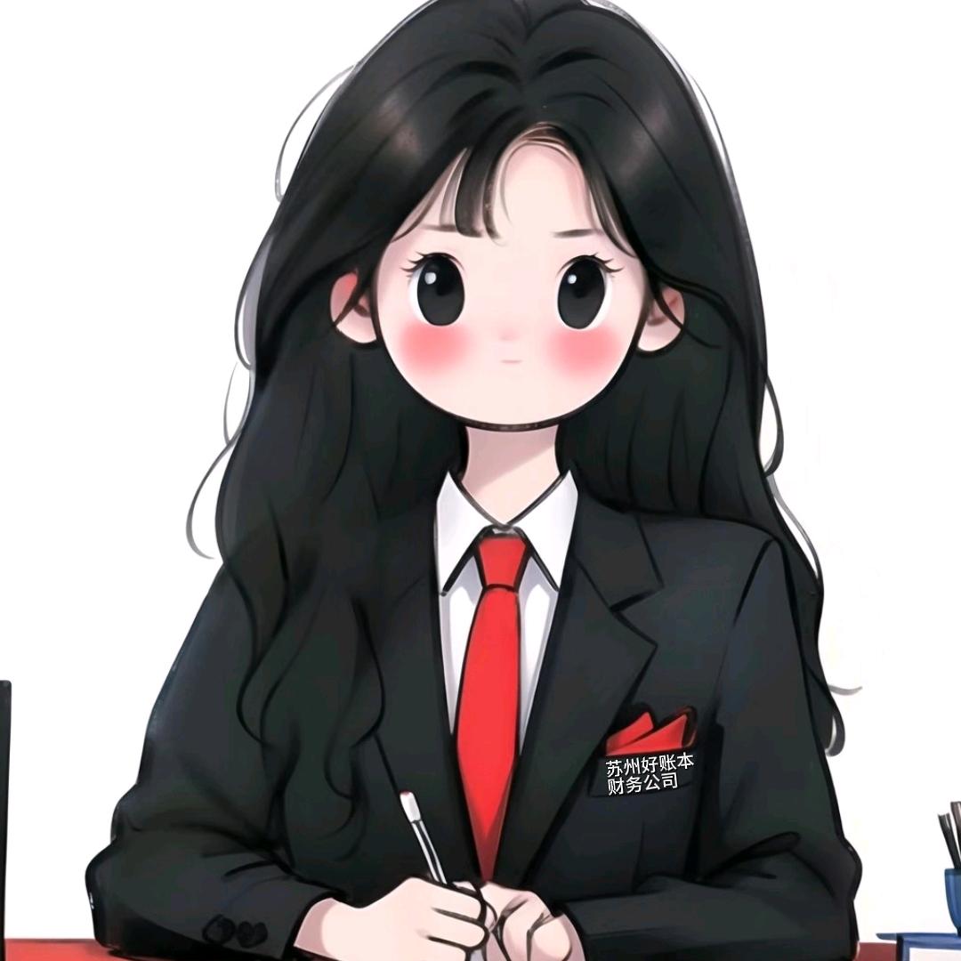 苏州好账本公司