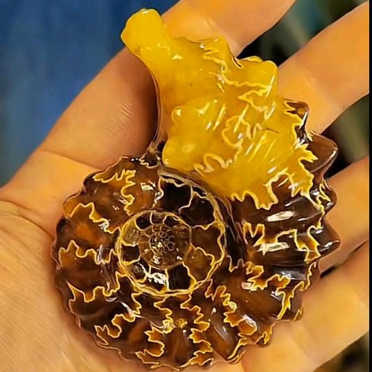 海螺化石馆4号店