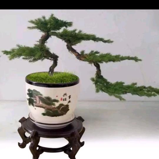 用户7280379827041知足常乐