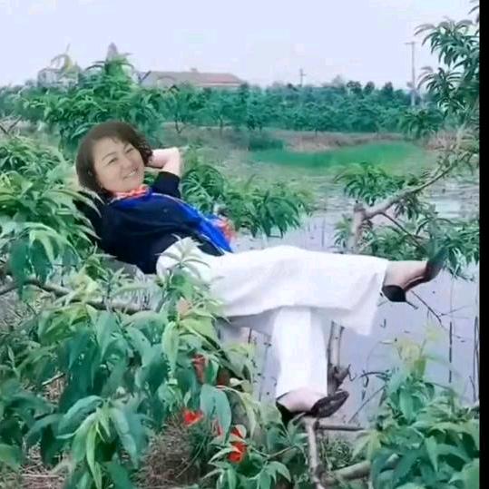 一花一世界🌹
