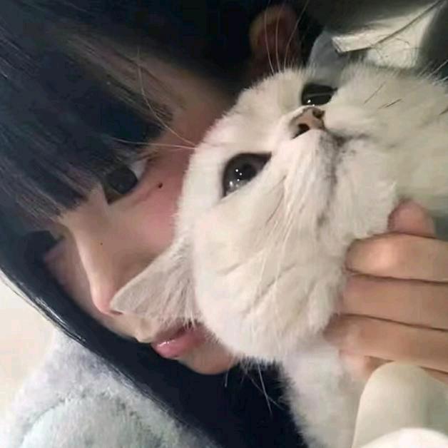 我只讨厌过他一个人