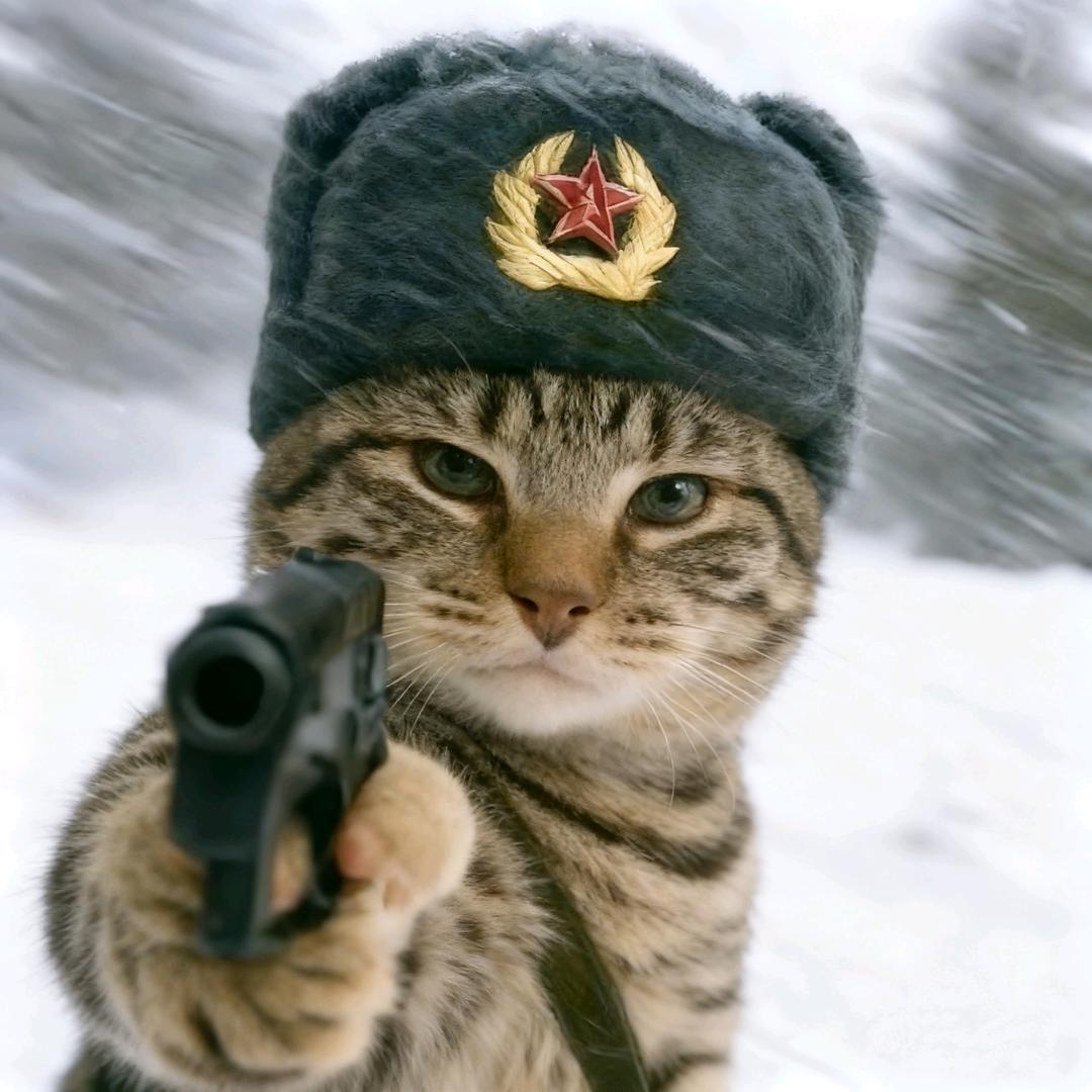 盛夏·陆贰捌🇨🇳