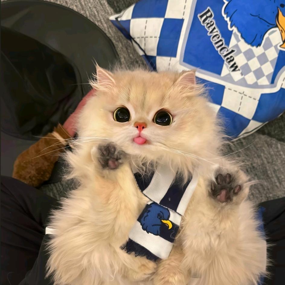 ^O^