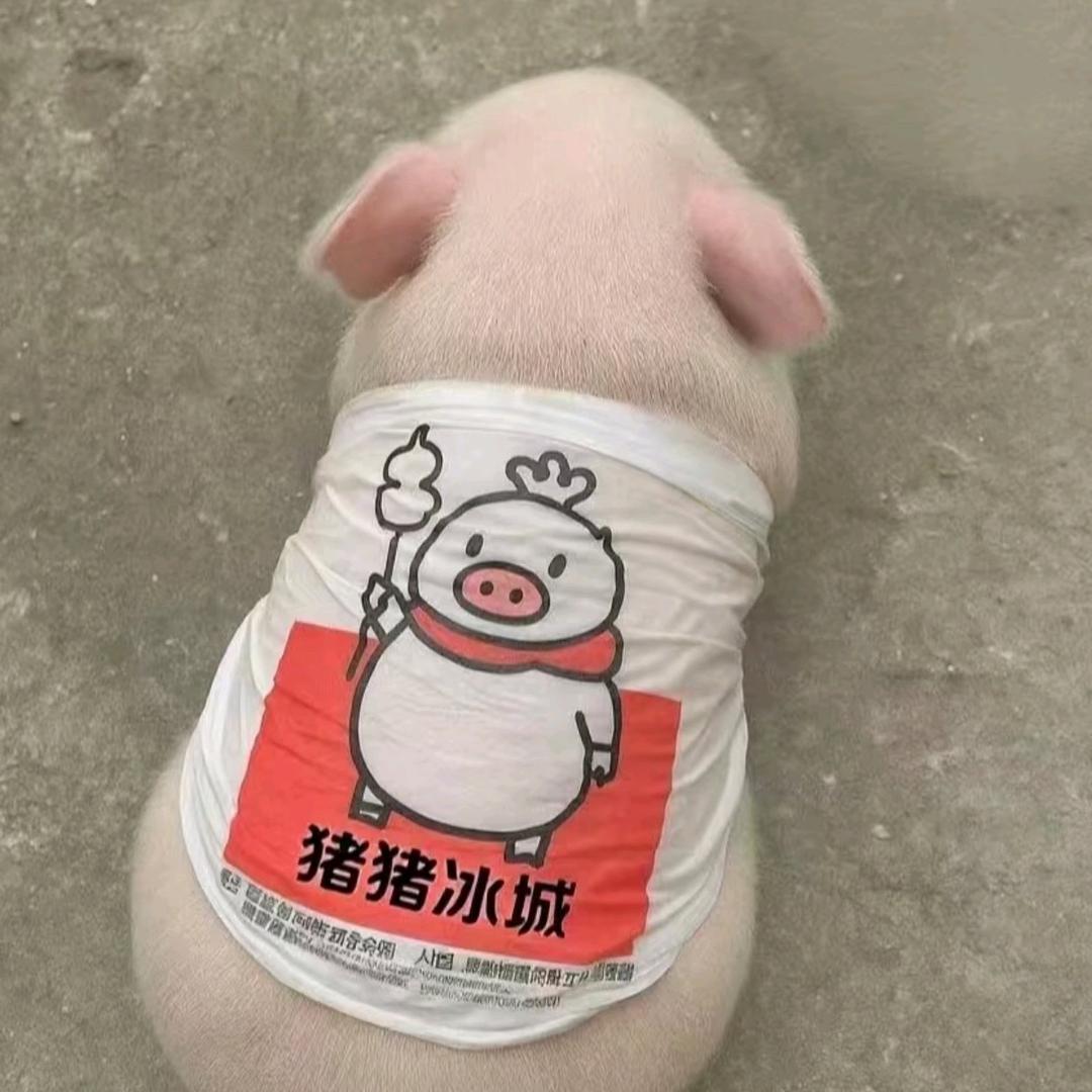 愛是蛋白質
