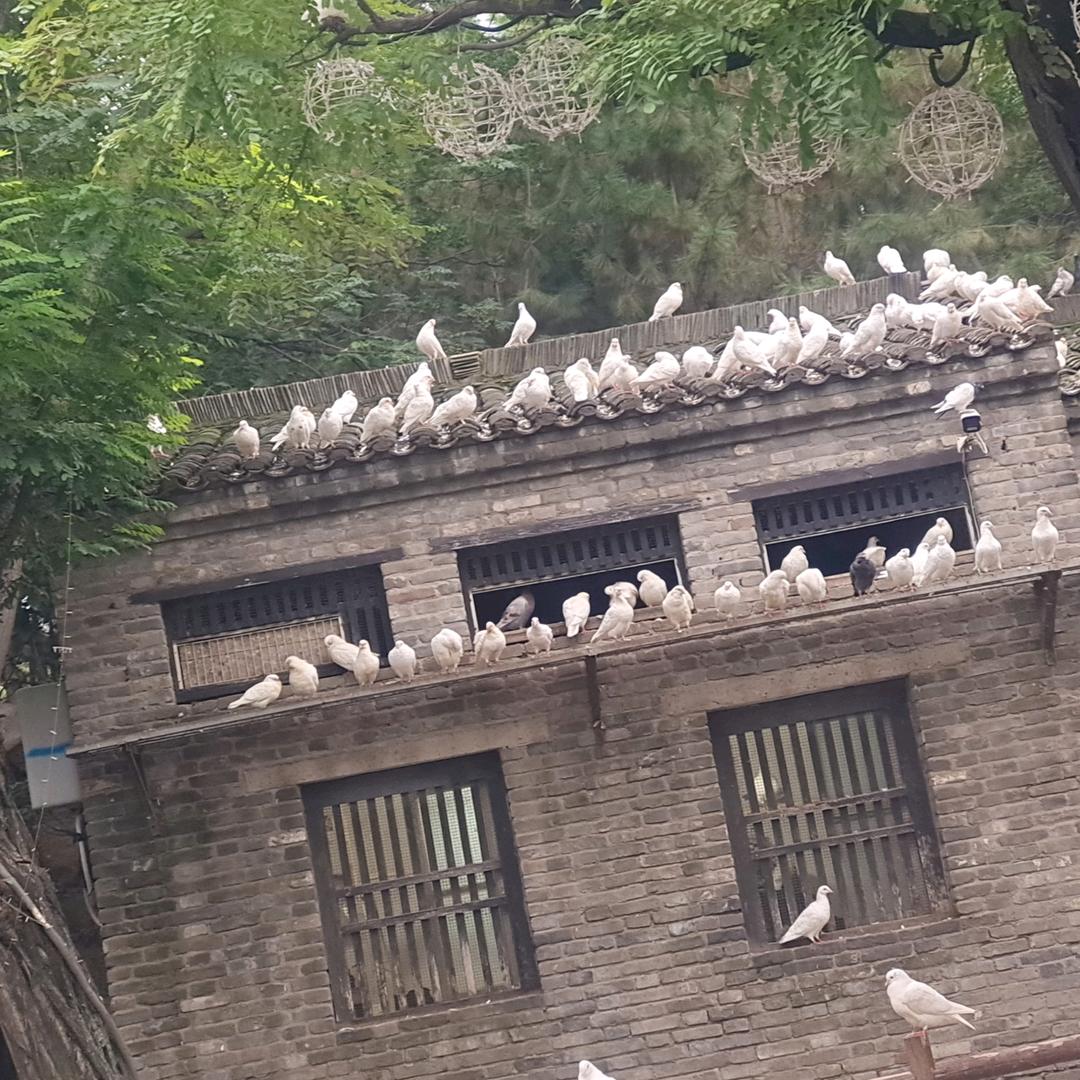 一个人挺好