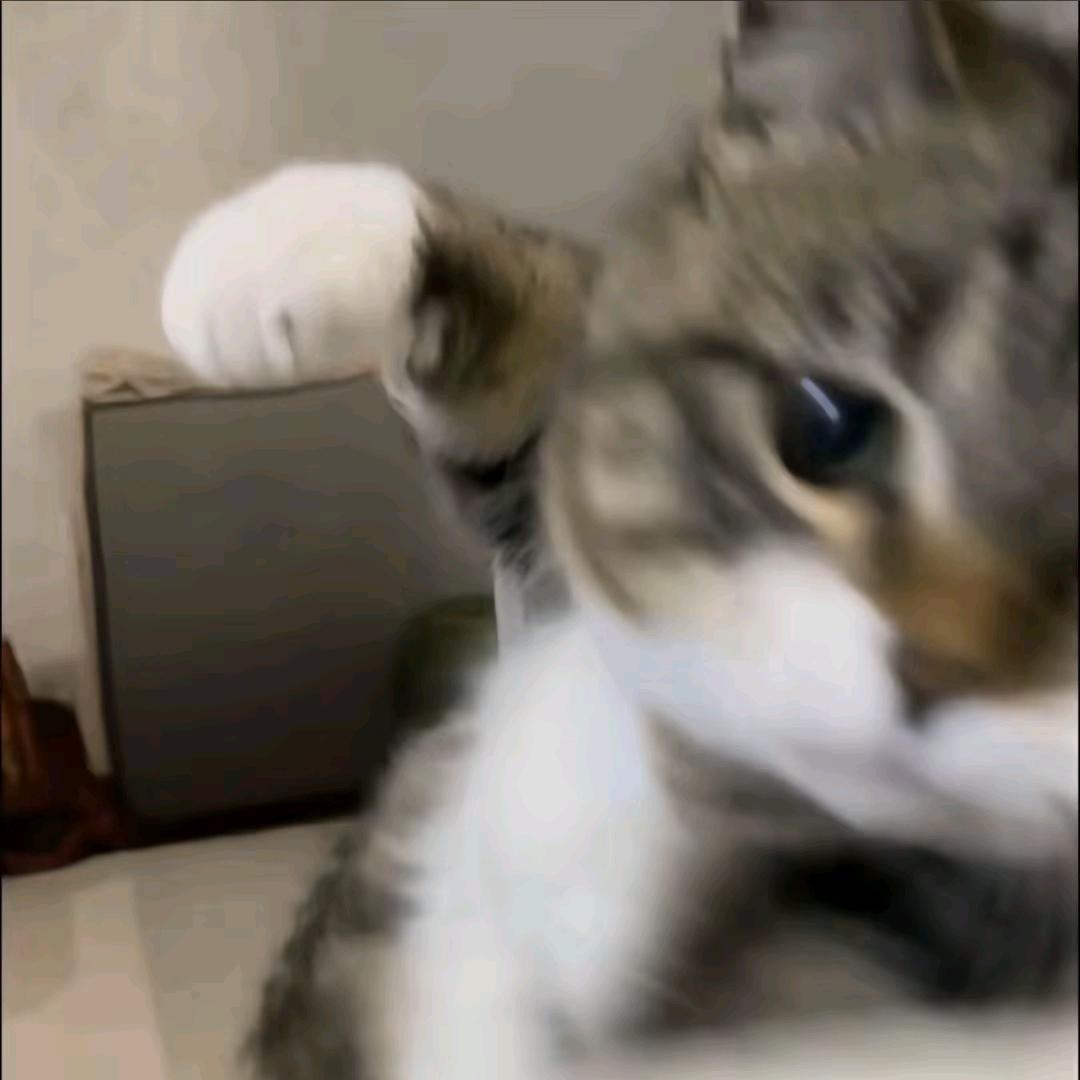 逆旅