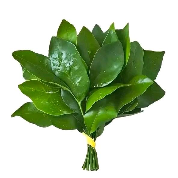 芒果干
