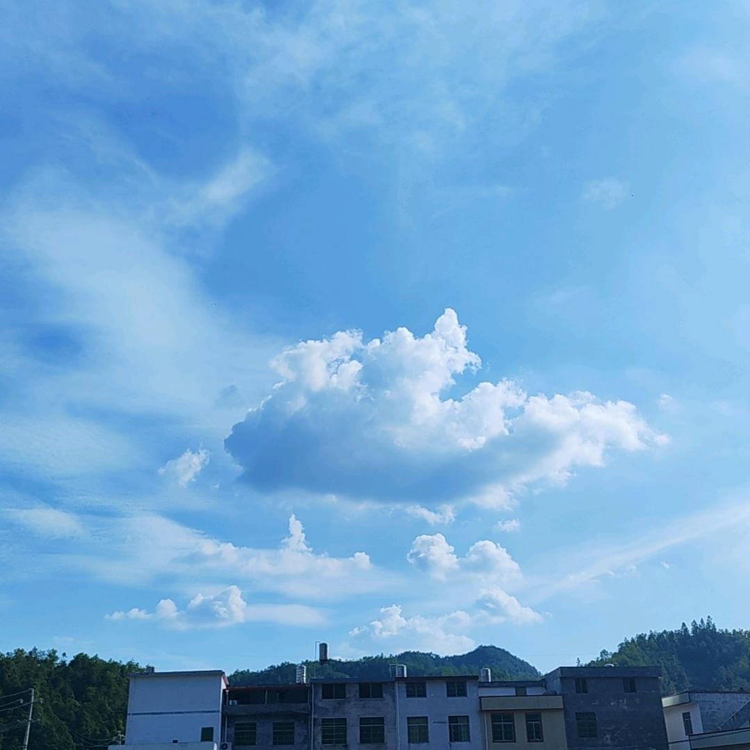白菜粉条