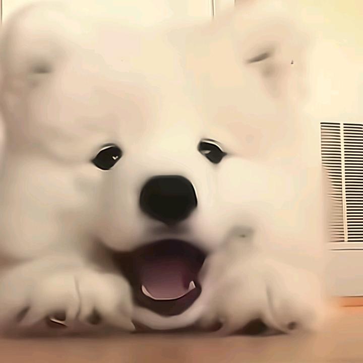 刘笑丞